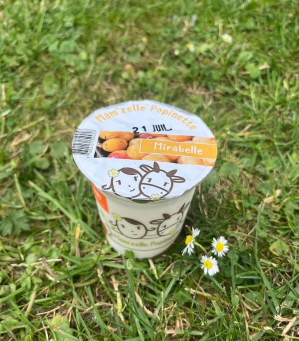 BRASSE SUR LIT DE FRUIT : MIRABELLE